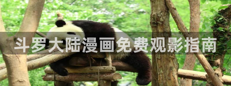 日本伦理动漫在线观看